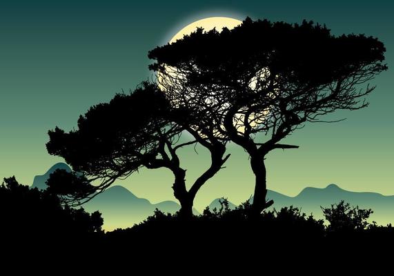Beautiful Landscape Scene