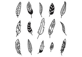 Set Of Feathers vector