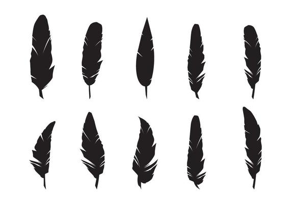 Feathers Silhouette Vector Set