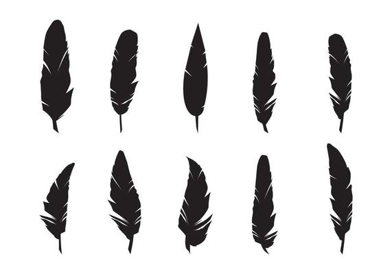 Feather of Birds. Black Feather Silhouette for Logo Vector Set