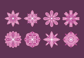 Flower Blossom Vector