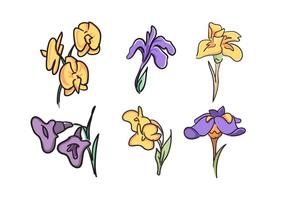 Hermoso libre de la flor del iris del vector