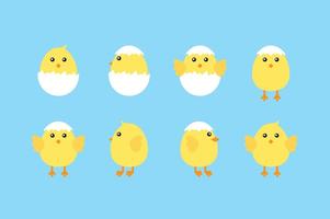 Cute Easter Chicks vector