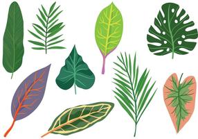 Free Exotic Leaves Vectors