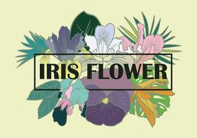 Vector de elementos de flor de iris