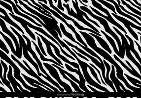 Vector Zebra Stripes Background