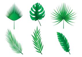 Tropical Leaves Vector Art, Icons, and Graphics for Free Download