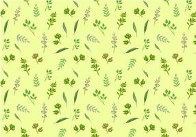 Free Herbs Pattern Vectors 