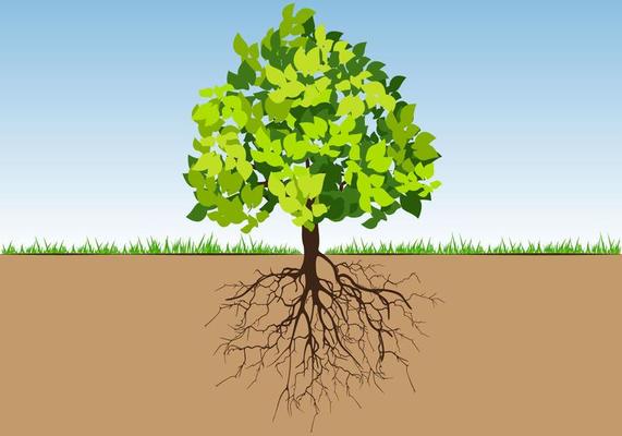 Tree with Roots and Leafs colorfull