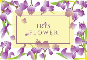 Iris Flower Greeting Card Vector 