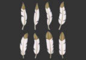 Set Of Pluma Vectors