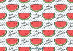 Hand Drawn Watermelon Pattern vector