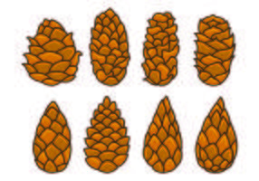 Set Of Pine Cones Vectors