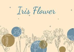 Iris Flower Background Outline Free Vector