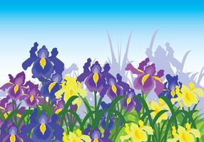 Iris Flower Background vector