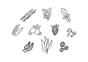Free Herbs For Medicine In Hand Drawn Vector