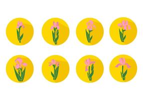 Iris Flower Icons Vector