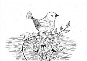 Mano libre dibujado ilustración vectorial de aves vector