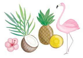 Vector Hand Drawn Tropical Elements