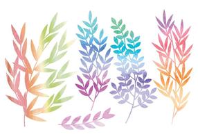 Vector Watercolor Branches and Floral Set
