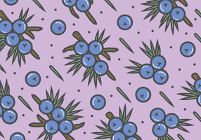 Juniper Pattern Background vector