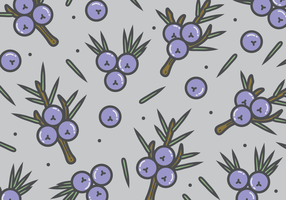 Juniper Pattern vector