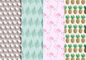 Vector Tropical Pattern Set