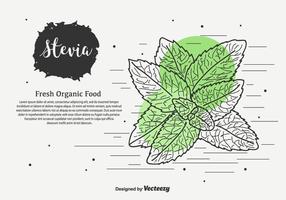 Hand Drawn Stevia Vector Background