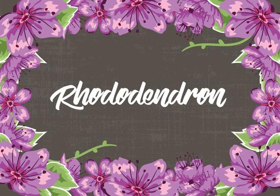 Rhododendron Flowers Frame Vector Illustration