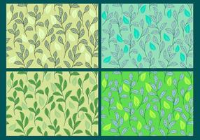 Stevia, Sweetleaf Plant Background or Seamless Patterns vector