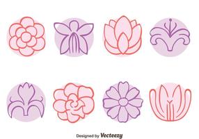 Sketch Flowers Collection Vectors