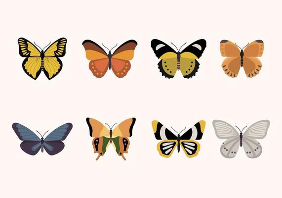 Filigree Pattern Vector Art, Icons, and Graphics for Free Download