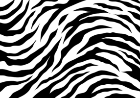 White Tiger Stripes vector