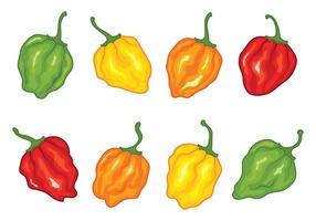 Paquete Habanero Papper Vectores