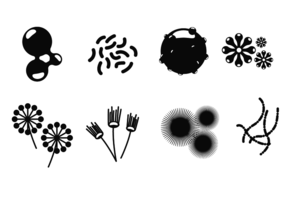 Iconos del molde Vector