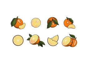 Libre Clementine Vector Pack