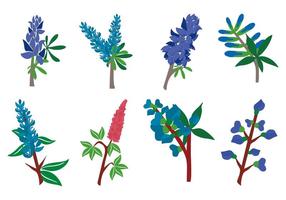 Free Bluebonnet Flower Vector