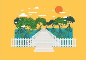 Boardwalk in Mangrove Forest Vector