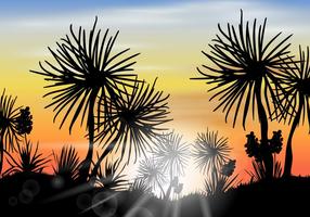 Silhouette Desert Yucca Scene Vector 