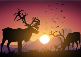 Caribou Sunset Free Vector