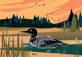 Loon Swimming In Lake Vector Background Illustration