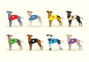 Racing Whippet Dog Vectors