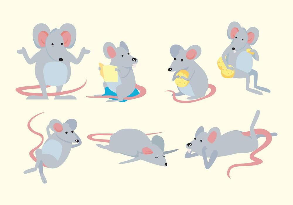 Cartoon Mouse Vector Art, Icons, and Graphics for Free Download