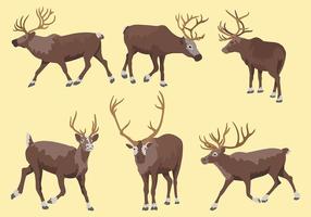 Caribou Vector Icons