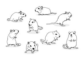Gerbil ratón línea arte vector