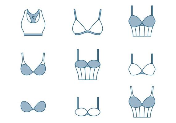 Set of different types of women's bras. Line drawing, sketch, icons, vector  23475864 Vector Art at Vecteezy