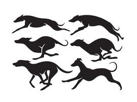 Vector High Quality Whippet Dogs Silhouettes