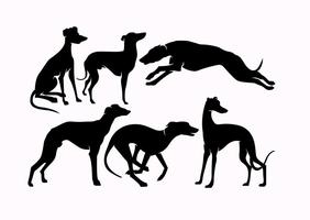 Vector Whippet Dogs Silhouettes