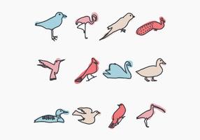 Colección de pájaros vector