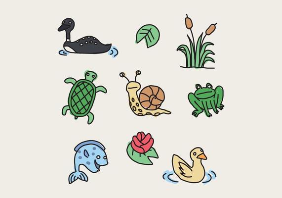 Colorful Pond Animals